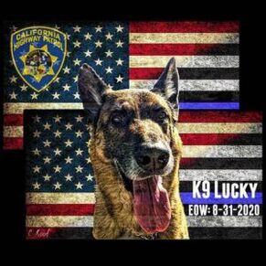 Highway Patrol K-9 Officer - Lucky